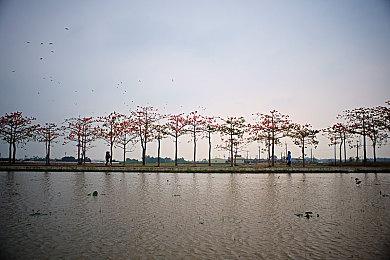 《动物森友会》更新2.0.4补丁 修复游戏本体与DLC相关问题